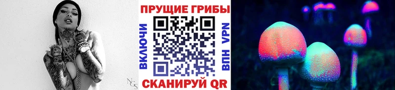 Галлюциногенные грибы Psilocybe  Покровск 